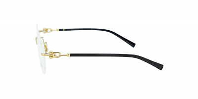 TIFFANY 0TF1170D-6021