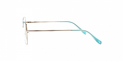 SENSE EYEWEAR WX-M-21013-04