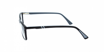 SENSE EYEWEAR F3010-1