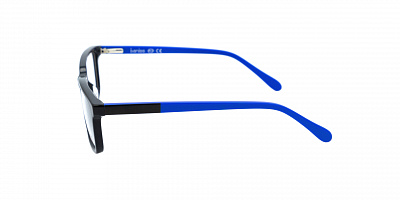 BANISS BSJ6085-01