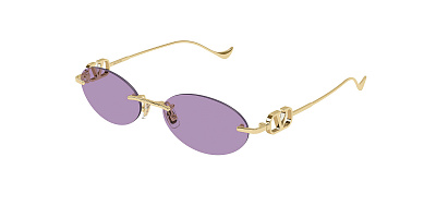 VALENTINO 0032S-004