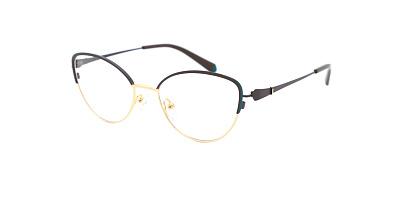 Оправа Sense Eyewear DP1026B 4