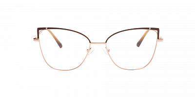 SENSE EYEWEAR WX-M-21015-01