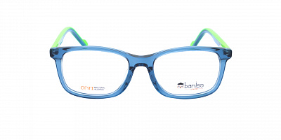 BANISS BSJ6088-02
