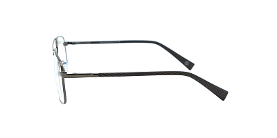GENEX 1381-019
