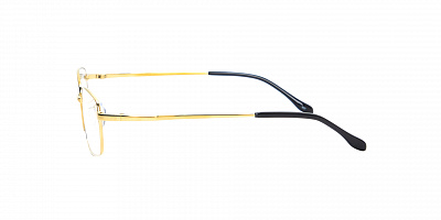 SENSE EYEWEAR RT-0026-GP
