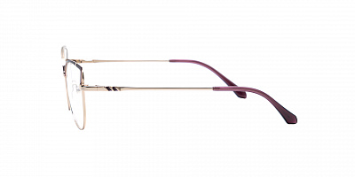 SENSE EYEWEAR WX-M-21015-02