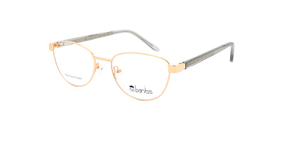 BANISS BR5100-01