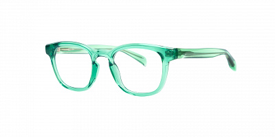 SENSE EYEWEAR 94919-3