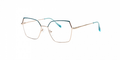 SENSE EYEWEAR WX-M-21013-04