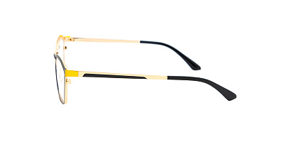 SENSE EYEWEAR DP1015B-1