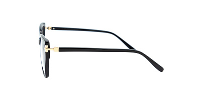 SENSE EYEWEAR F1070D-1