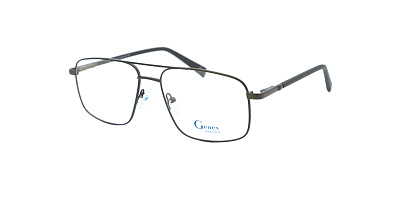GENEX 1381-041