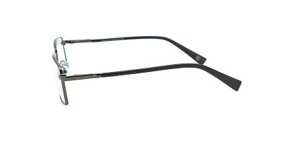 GENEX 1376-019