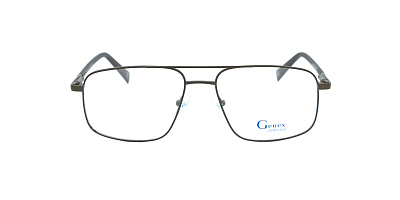 GENEX 1381-041