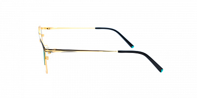 SENSE EYEWEAR DP1035A-1