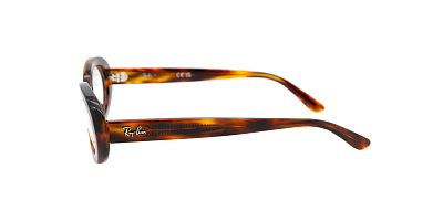 Оправа RAY BAN 0RX2223V-2144