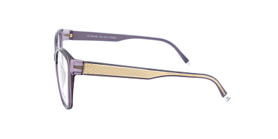 STEPPER STS-10185-F810