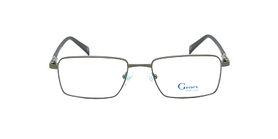 GENEX 1376-019