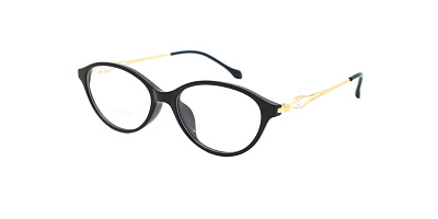 Оправа Optilook G6022 1