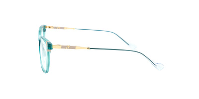 SENSE EYEWEAR F1028D-4