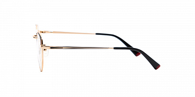 SENSE EYEWEAR DP1009A-1