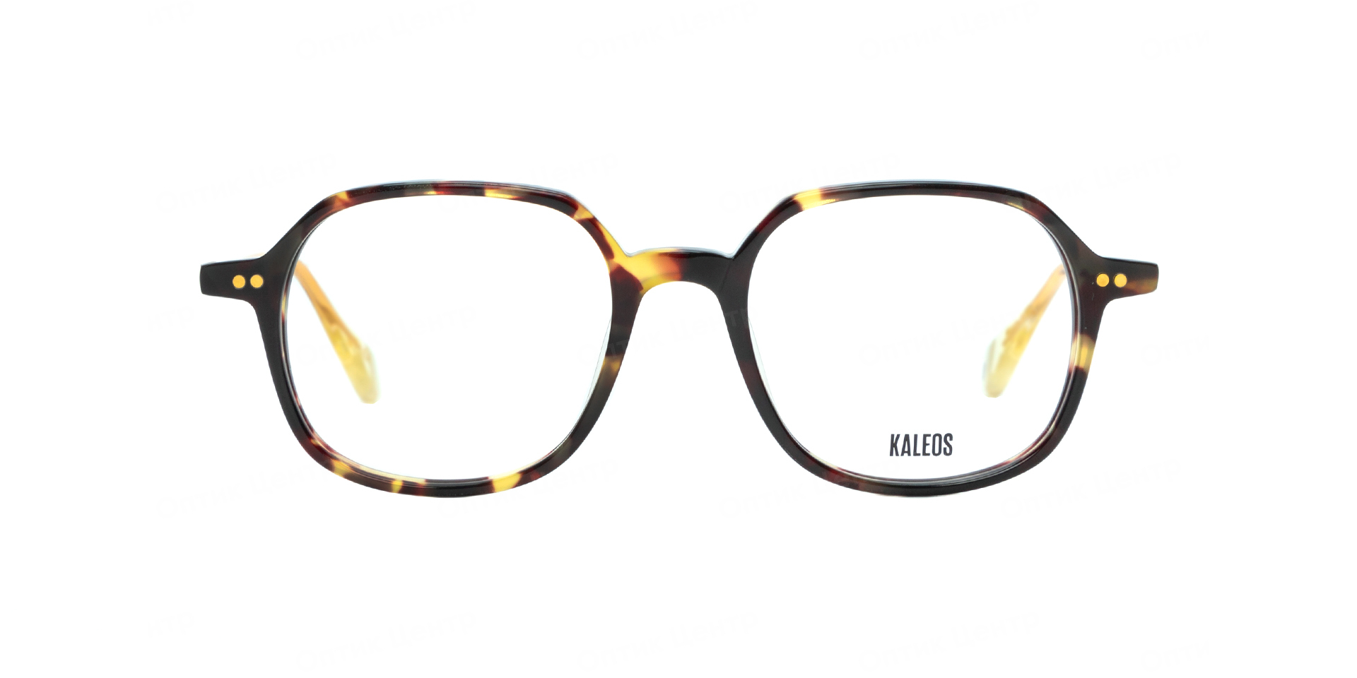KALEOS MEDINA-003