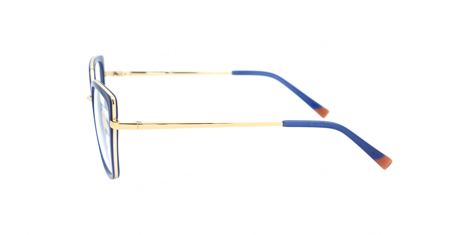 SENSE EYEWEAR F1038H-2