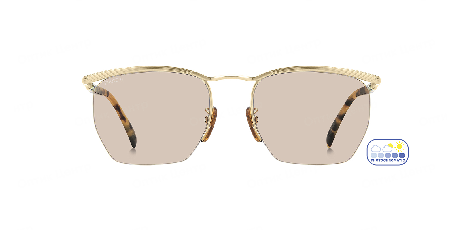 DAVID BECKHAM 1225/S-HM263