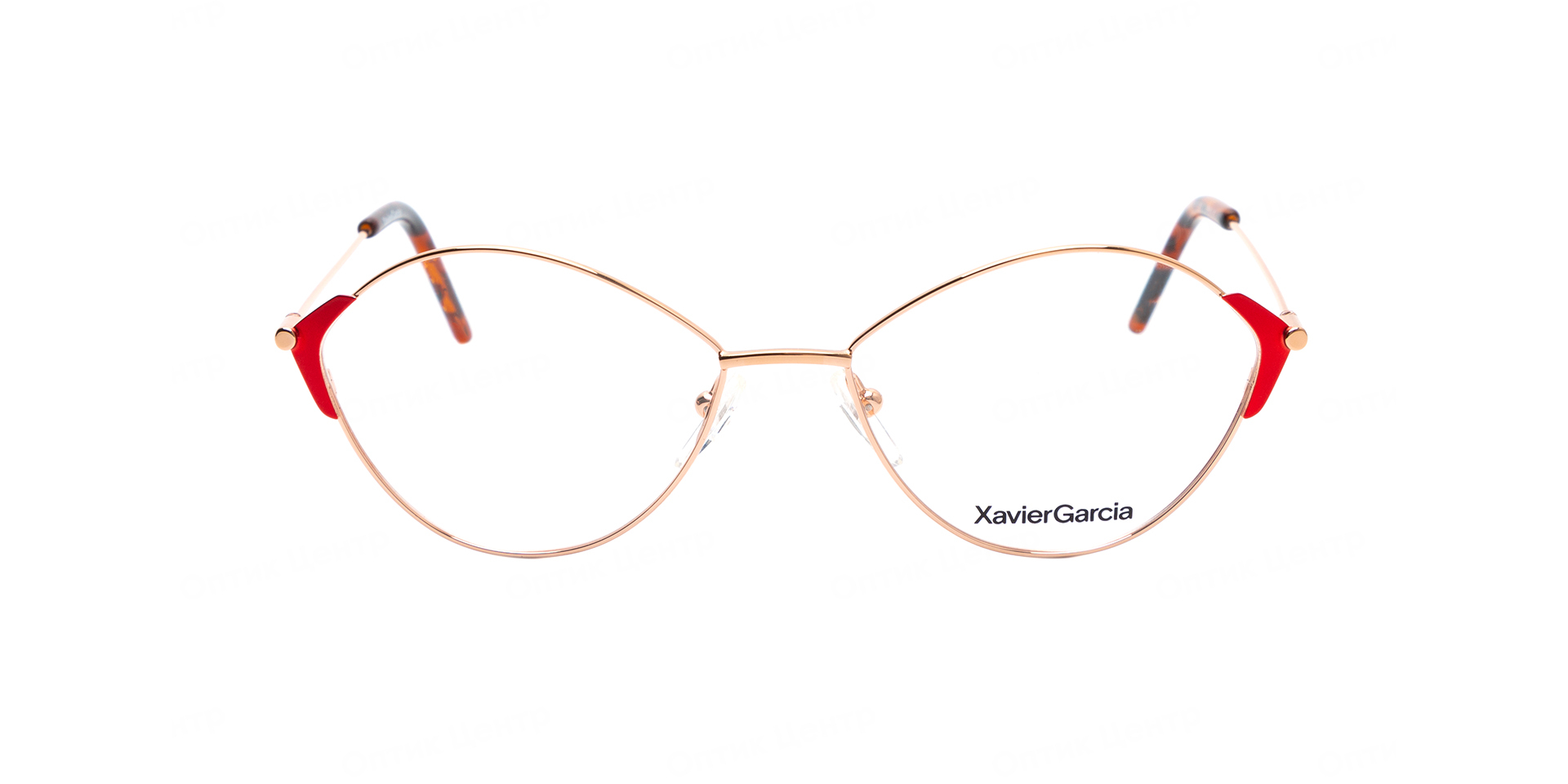 XAVIER GARCIA ROSE-01