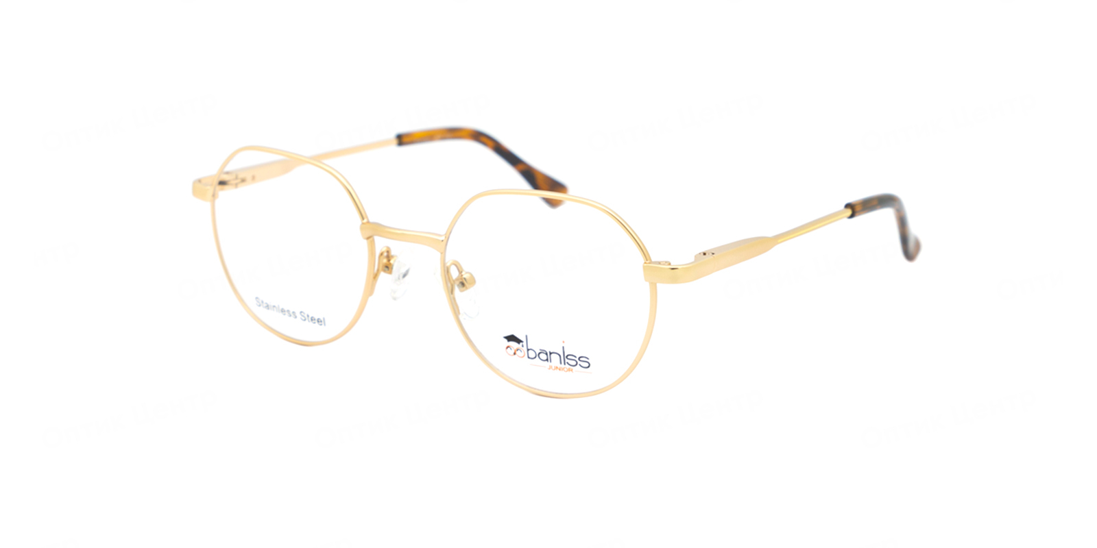 BANISS BR2147-01