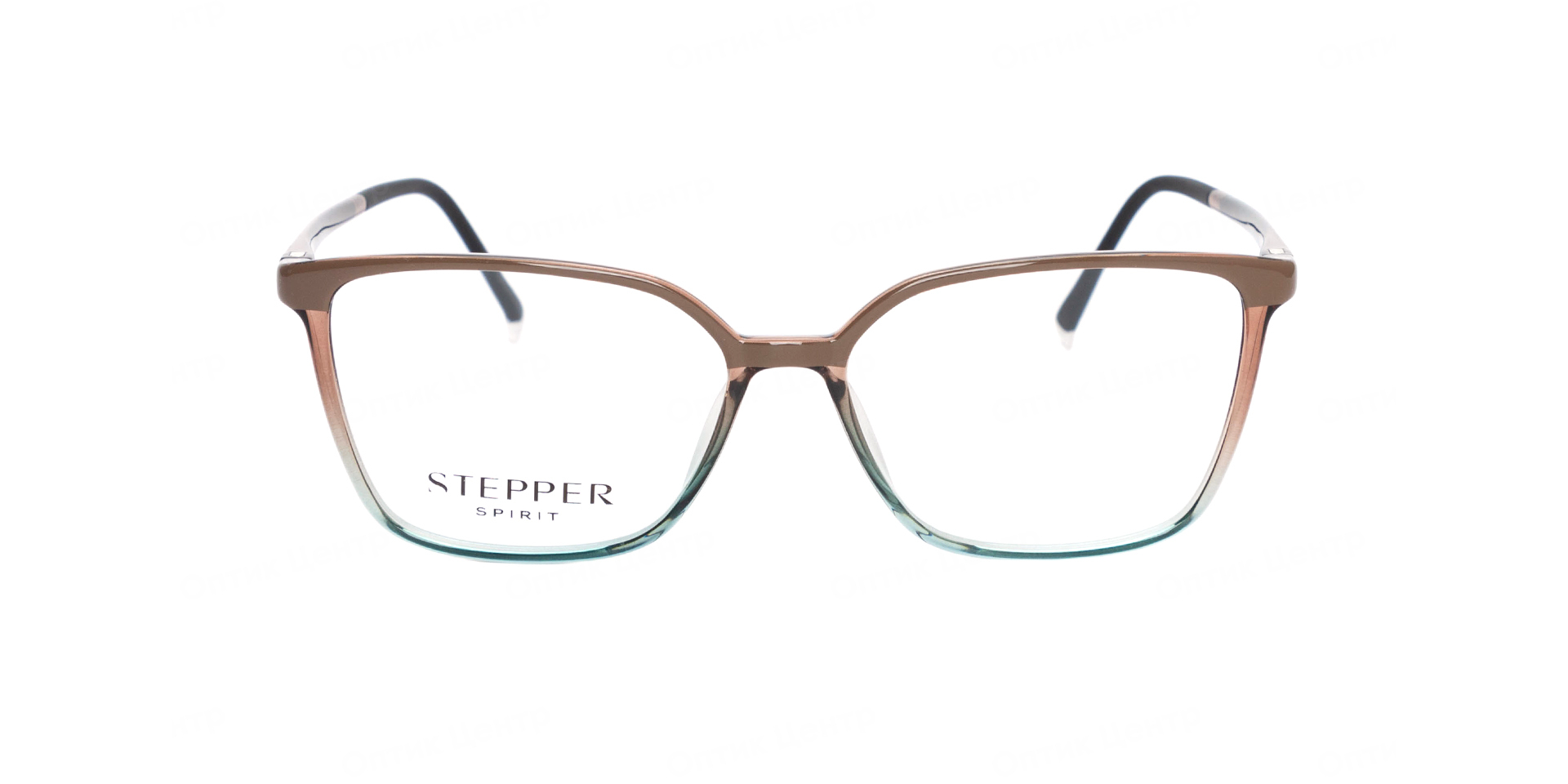STEPPER STS-10150-F110