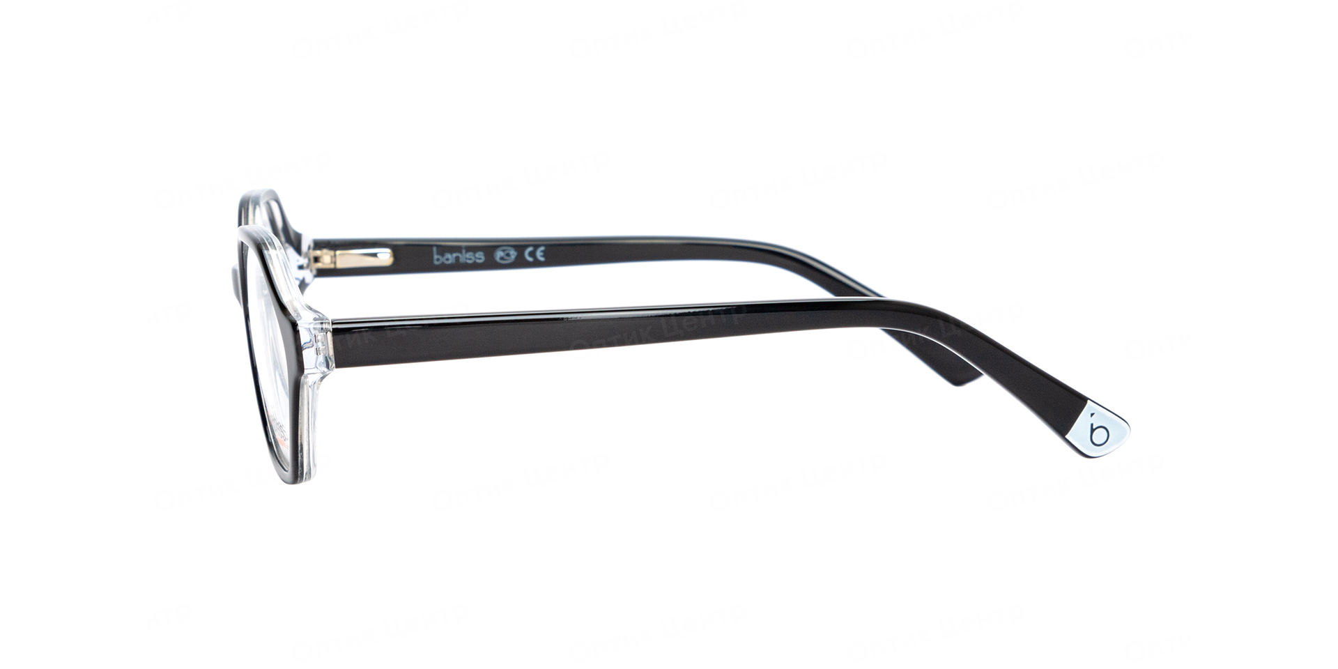 BANISS BSJ6838-01