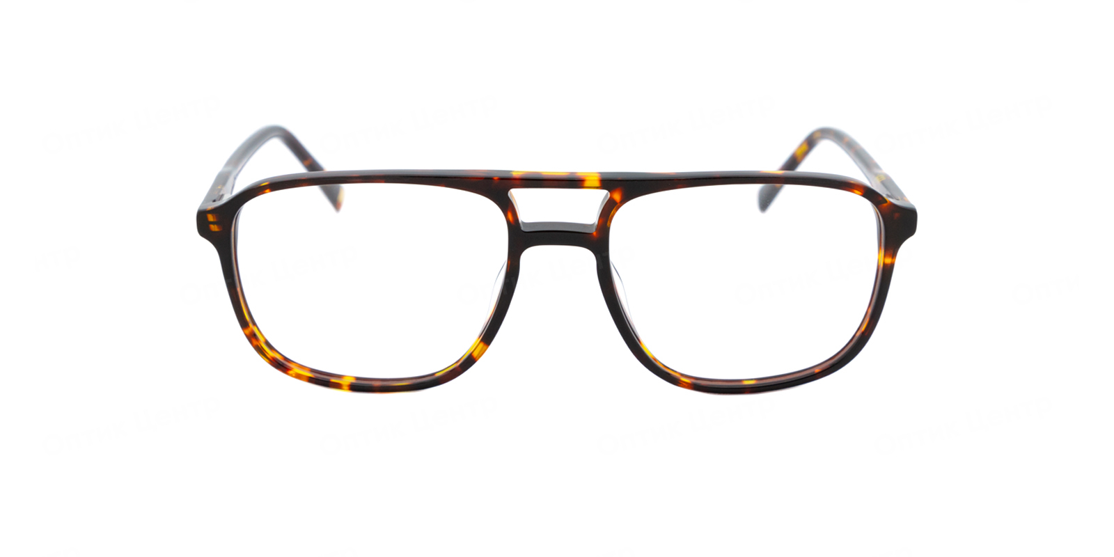 CAROLINA LEMKE Grant-C CL8021-2
