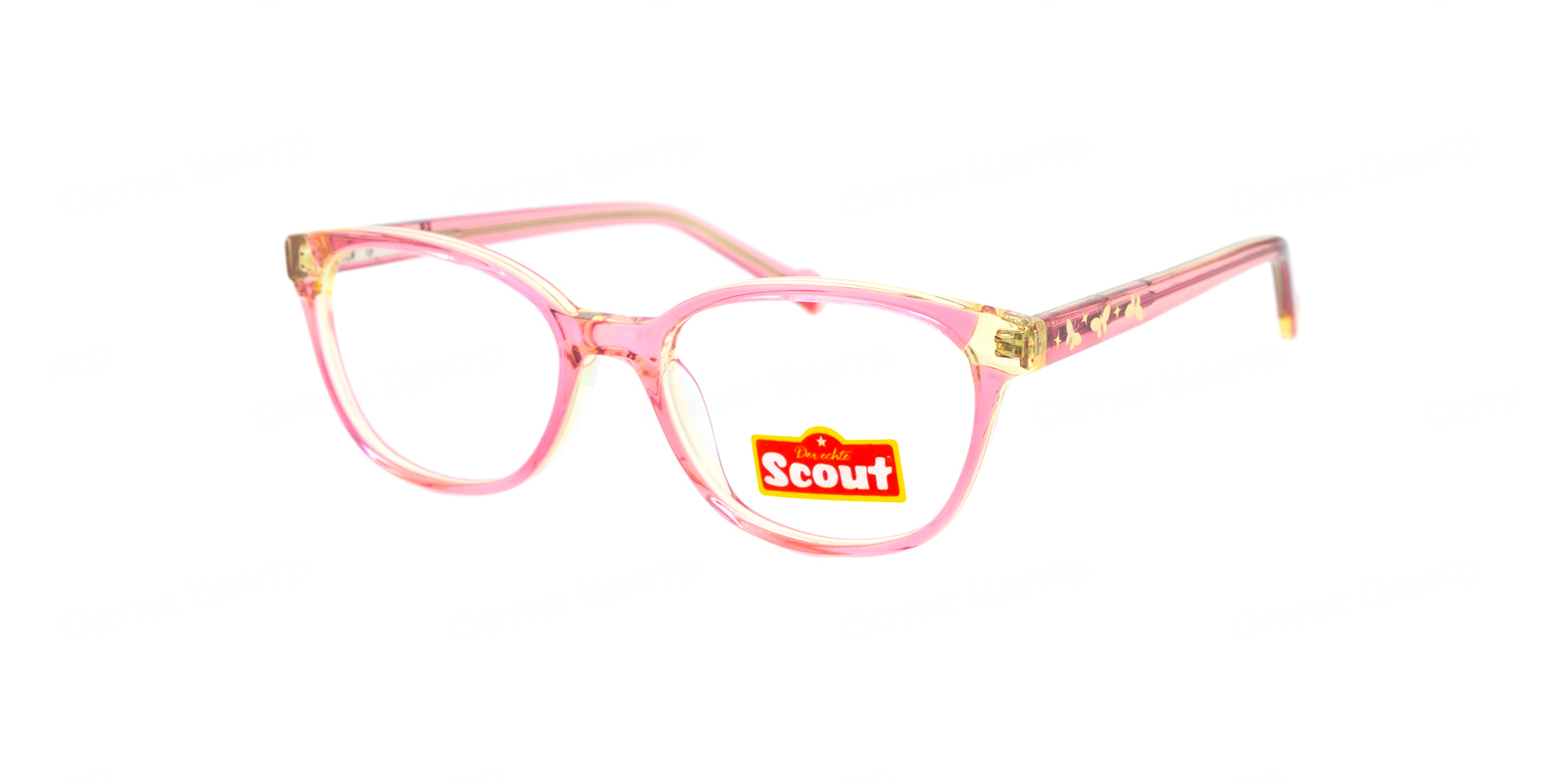 SCOUT 55.765.01