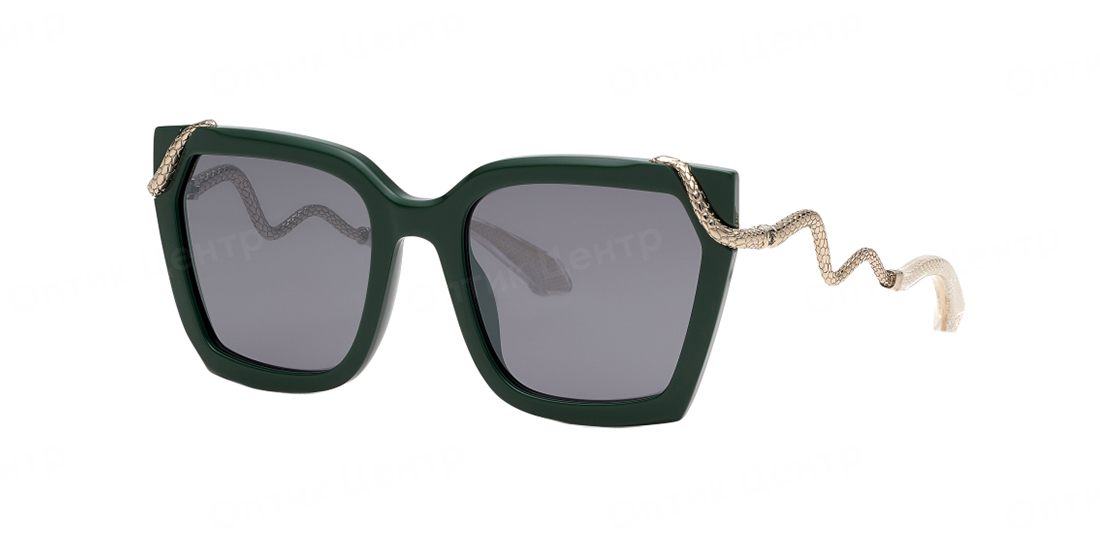 ROBERTO CAVALLI 034-D80X