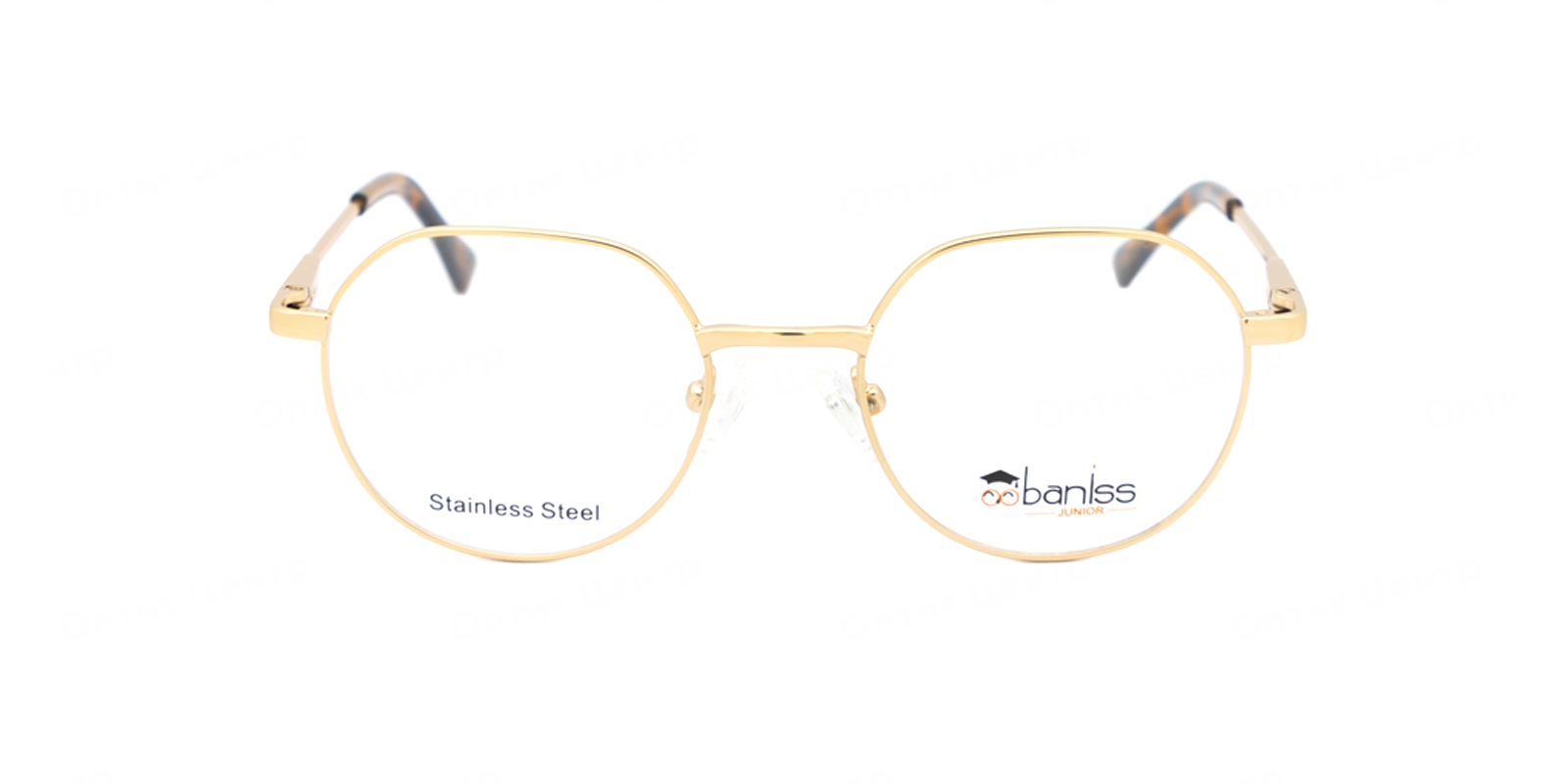 BANISS BR2147-01