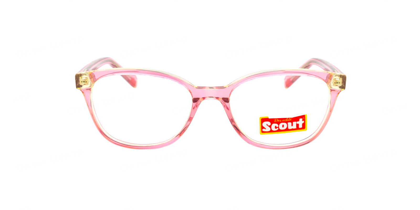 SCOUT 55.765.01