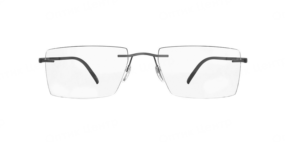 SILHOUETTE 5540-DR-9040