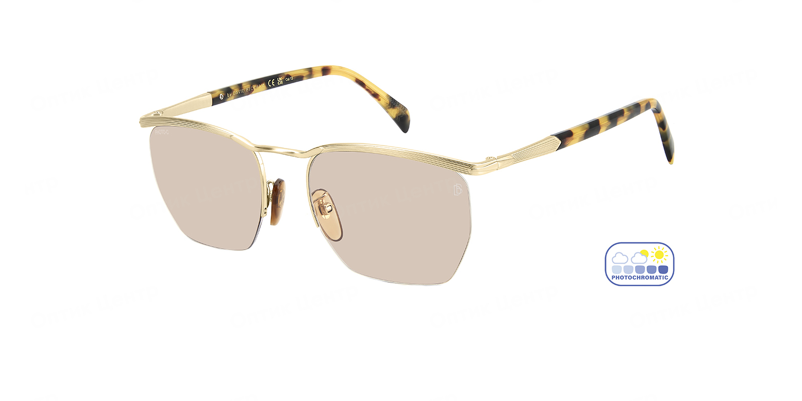 DAVID BECKHAM 1225/S-HM263