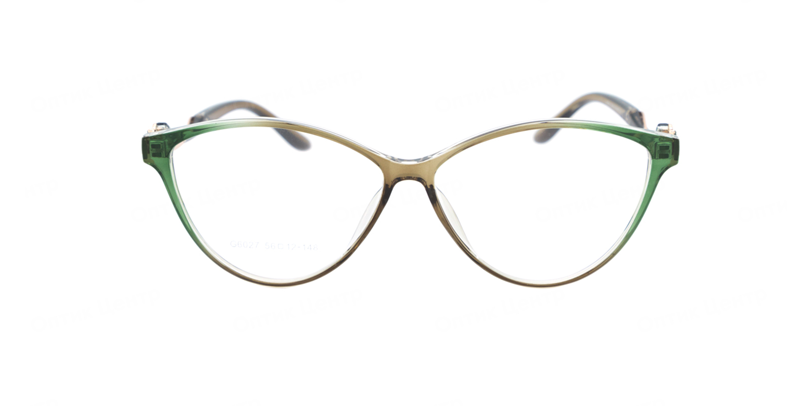 Оправа Optilook G6027 2