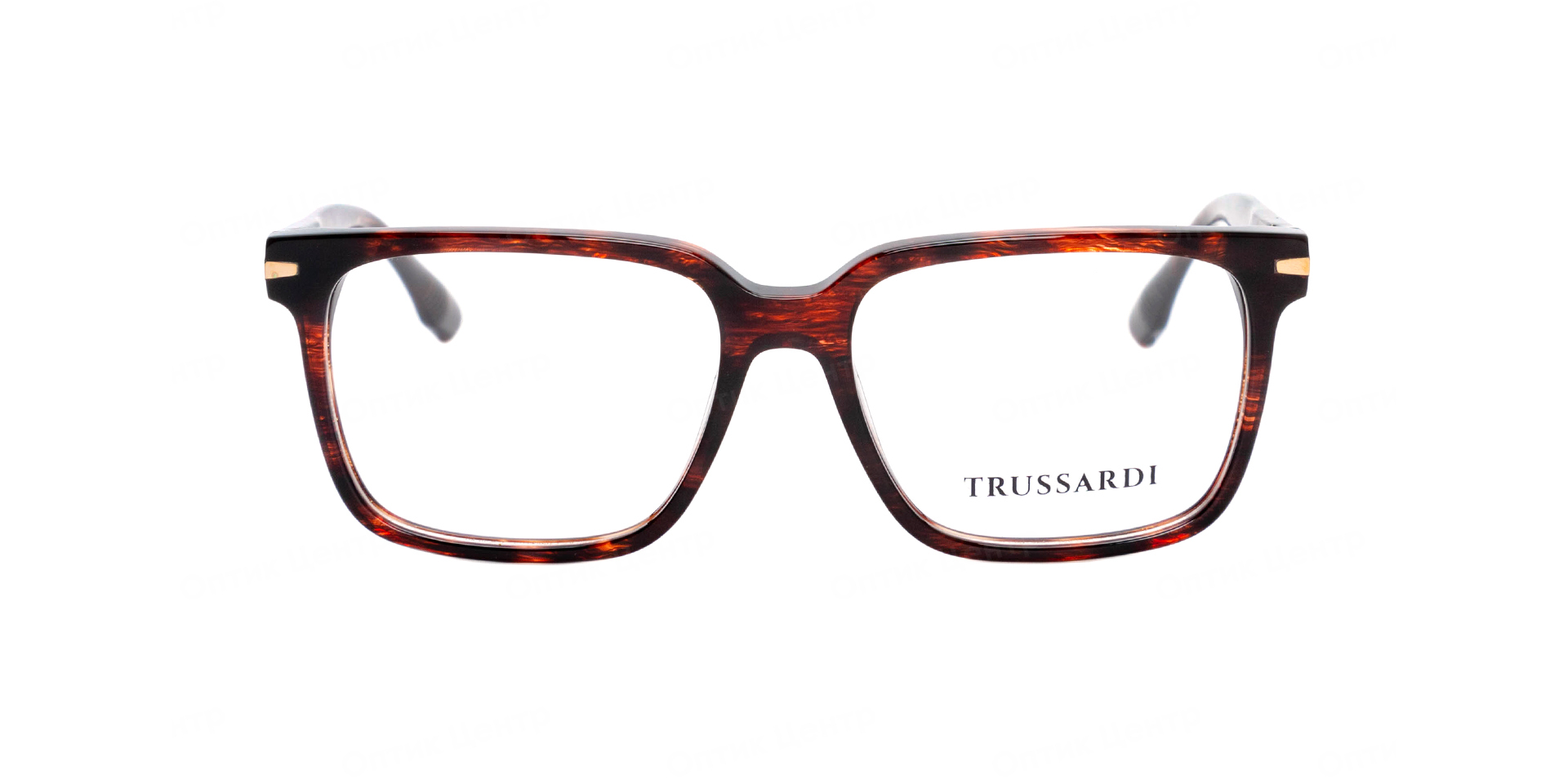 TRUSSARDI 6012-G23